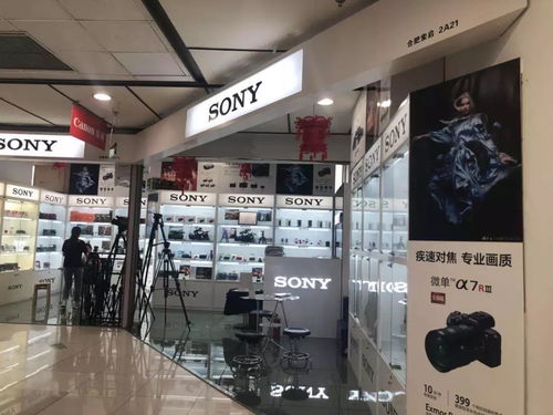 夏日激情背后的財務智慧 為何我們敢于在酷暑中“浪”